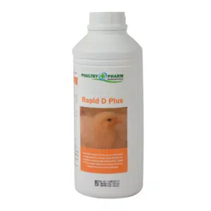 Rapid D Plus